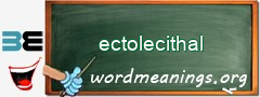 WordMeaning blackboard for ectolecithal